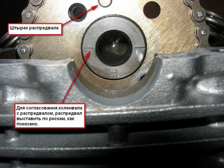 Где искать информацию о маркировке для конкретных моделей