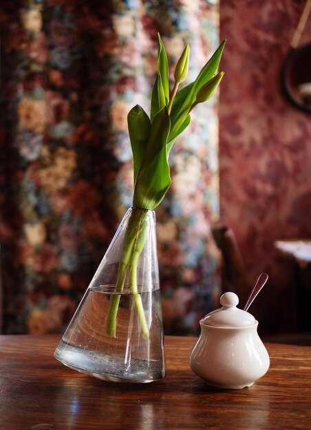 Выбор правильного домкрата для Ваз 2109