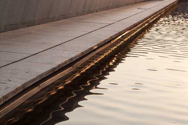 Влияние дренажа на рост астр