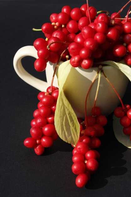 Обзор комплектации и характеристик Калины 2 люкс